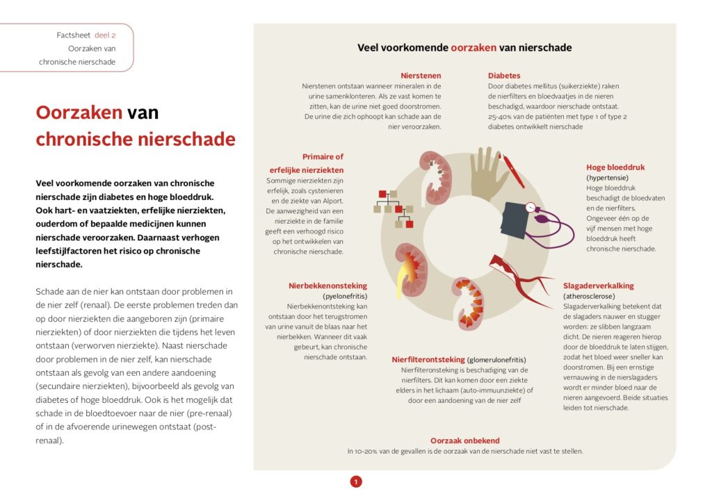 Serie factsheets nierschade